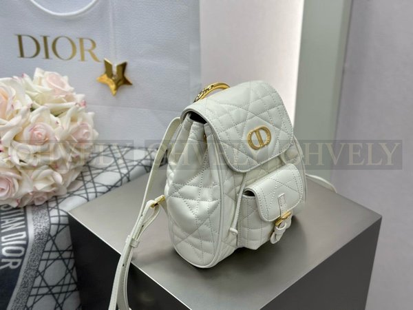 디올 카로 스몰 백팩