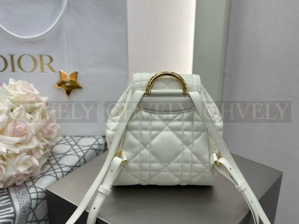 디올 카로 스몰 백팩