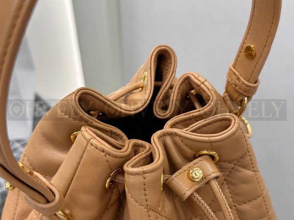 디올 카로 스몰 버킷백