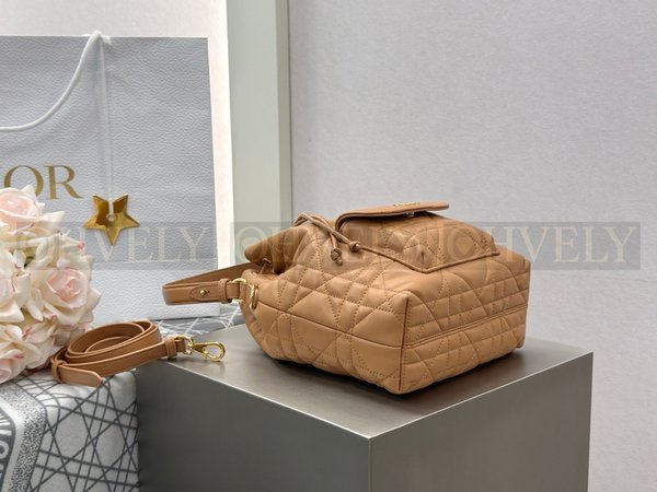 디올 카로 스몰 버킷백