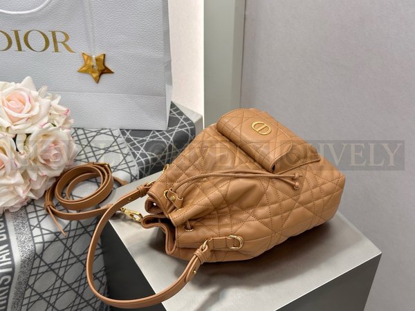 디올 카로 스몰 버킷백