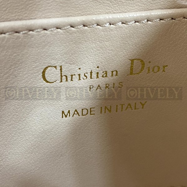 디올 카로 나노 버킷백