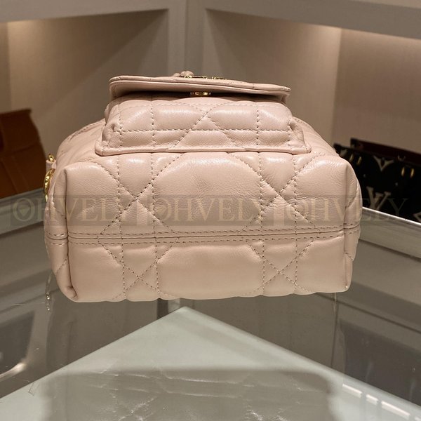 디올 카로 나노 버킷백