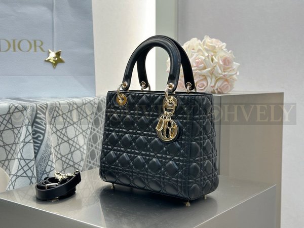 디올 레이디백 미디움