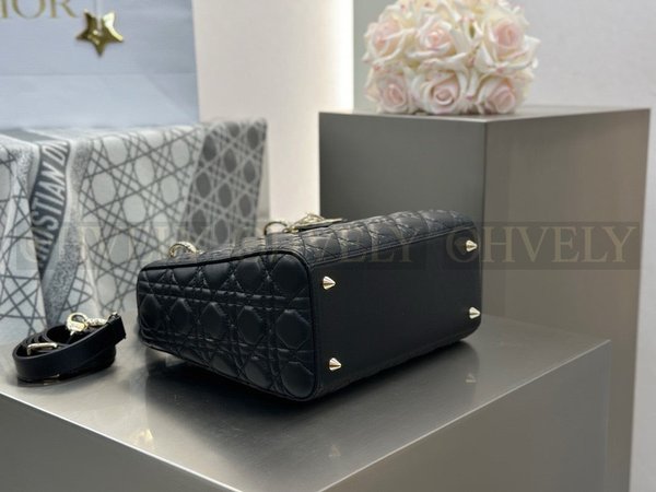 디올 레이디백 미디움