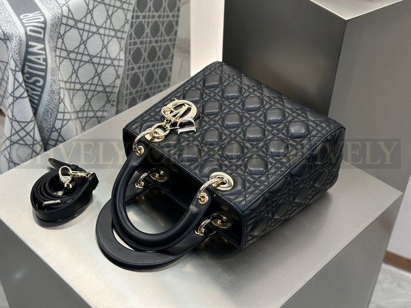 디올 레이디백 미디움