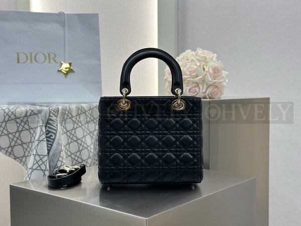 디올 레이디백 미디움