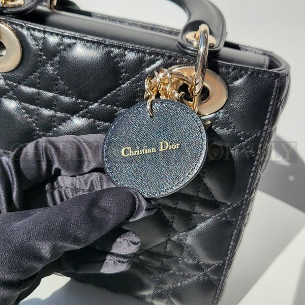 디올 레이디백 스몰