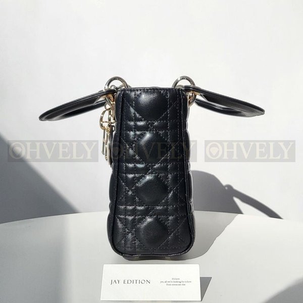 디올 레이디백 스몰