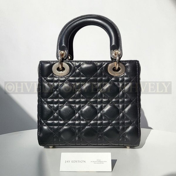 디올 레이디백 스몰