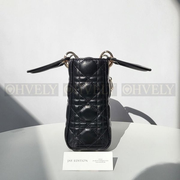 디올 레이디백 스몰