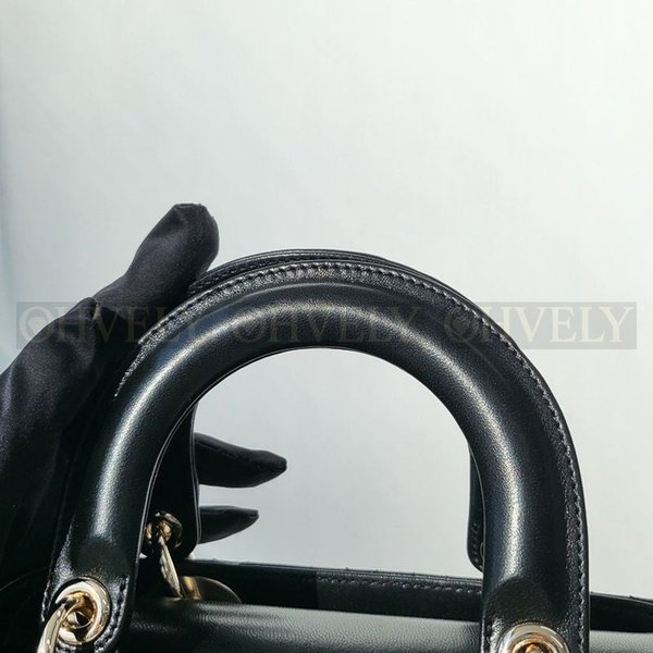 디올 레이디백 스몰