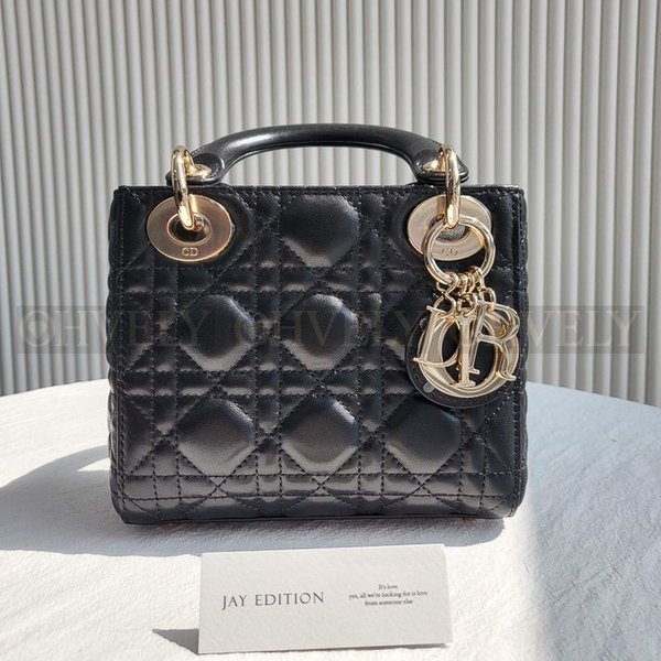 디올 레이디백 미니