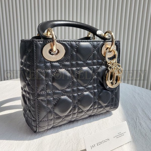 디올 레이디백 미니