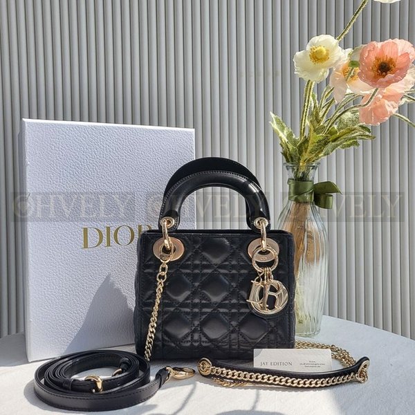 디올 레이디백 미니