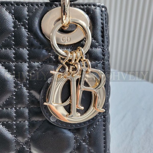 디올 레이디백 미니