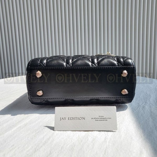 디올 레이디백 미니