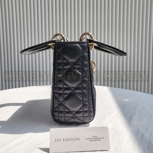 디올 레이디백 미니