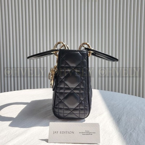 디올 레이디백 미니