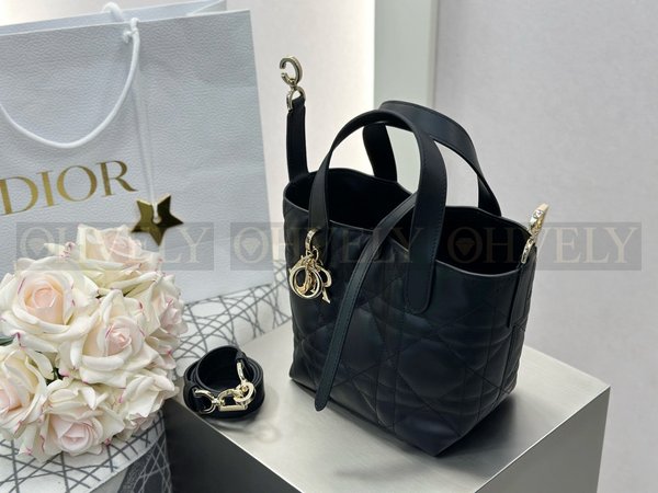 디올 버티컬 뚜주흐백 스몰