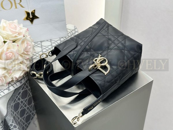 디올 버티컬 뚜주흐백 스몰