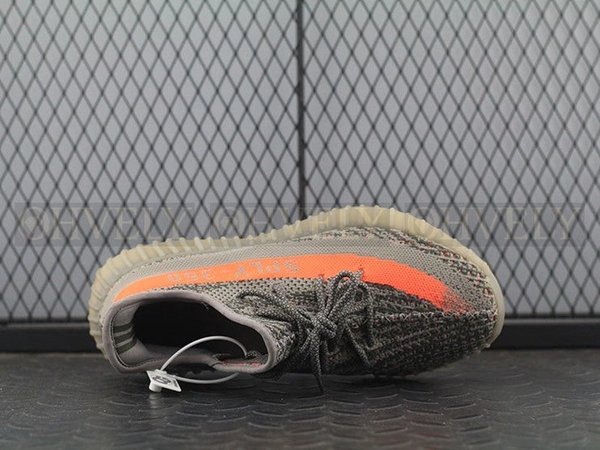 YEEZY 350 V2 벨루가 솔라레드 리플렉티브