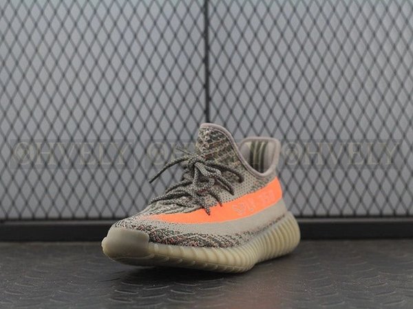 YEEZY 350 V2 벨루가 솔라레드 리플렉티브