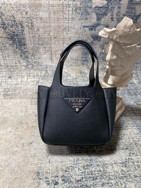 프라다 다이노 토트백 미니