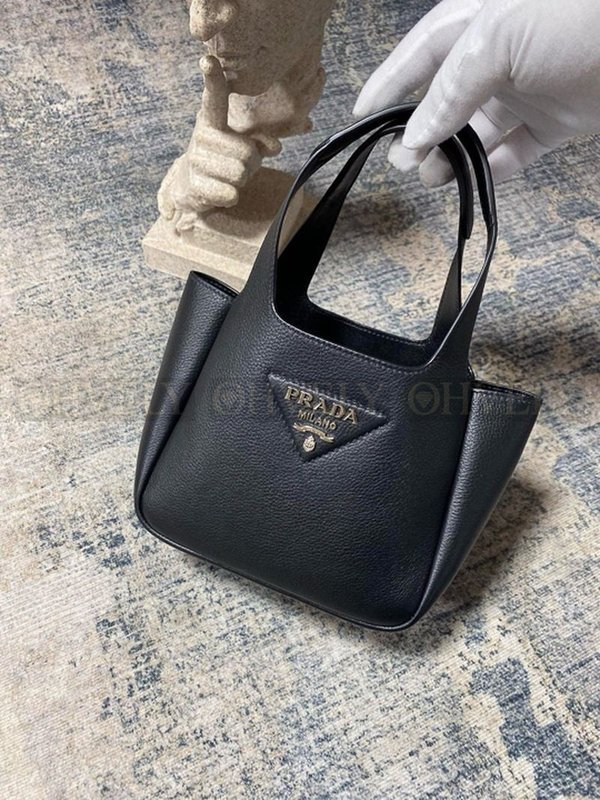 프라다 다이노 토트백 미니