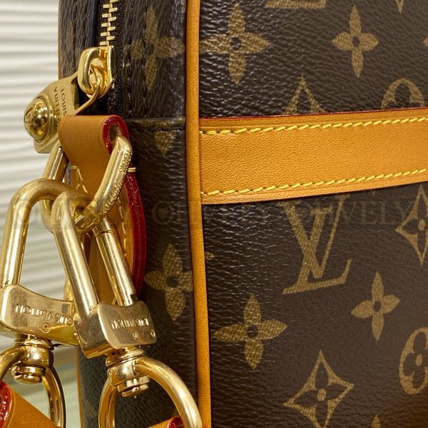 루이비통 다뉴브