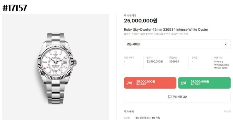 롤렉스 스카이드웰러 인텐스 실버 오이스터