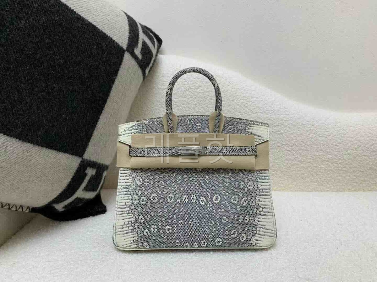 Hermès Birkin25 Lizard Natural 1B x Palladium Hardware