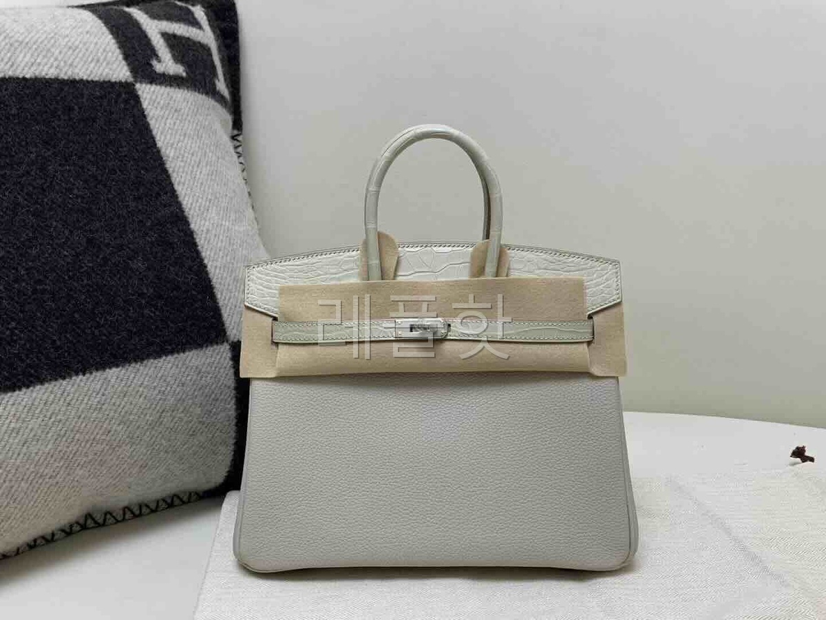 Hermès Birkin 25 Touch Glacier White Togo & Alligator x Palladium Hardware