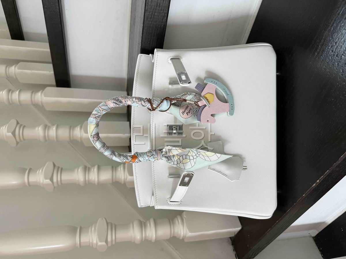 Hermès Birkin25 Epsom Blanc x Palladium Hardware