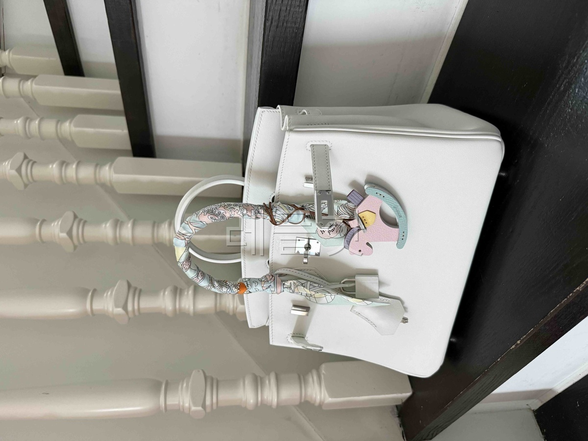 Hermès Birkin25 Epsom Blanc x Palladium Hardware