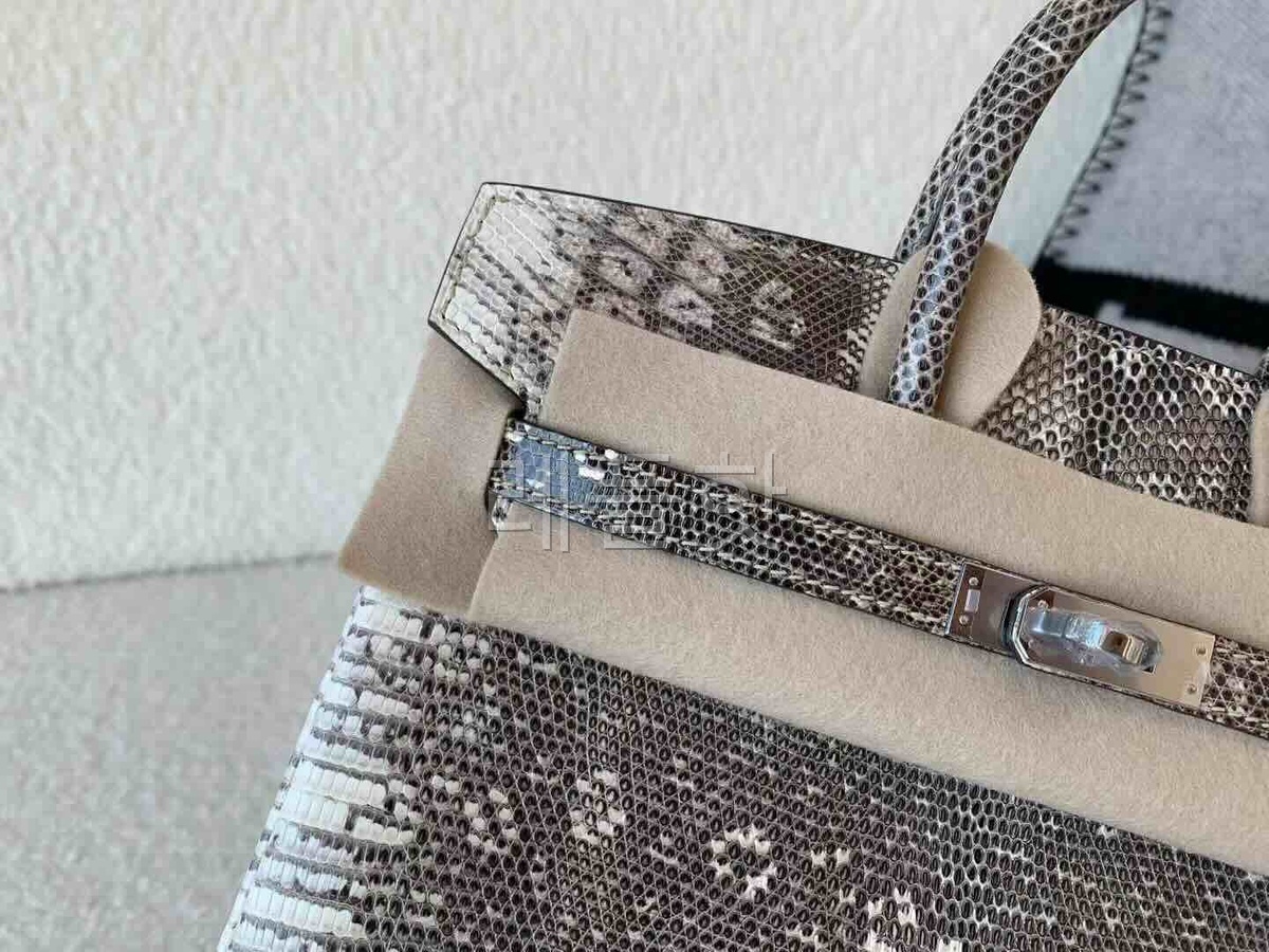 Hermès Birkin 25 Lizard Snow White x Palladium Hardware