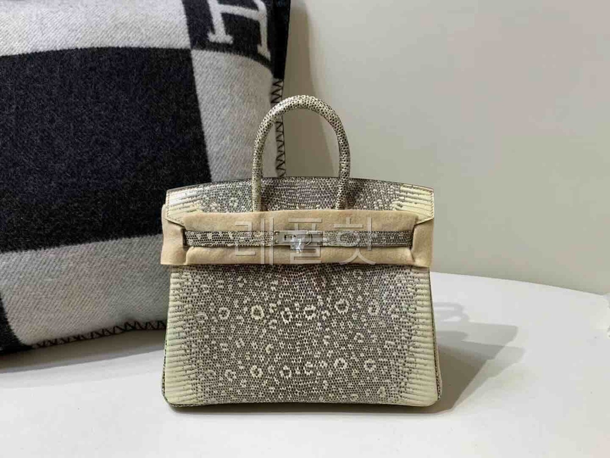Hermès Birkin25 Lizard Snow White x Palladium Hardware