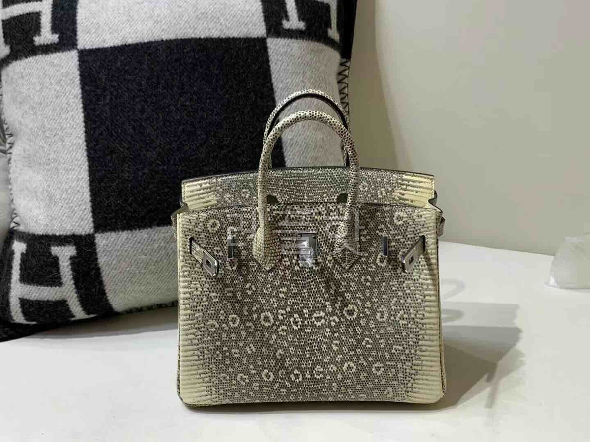 Hermès Birkin25 Lizard Snow White x Palladium Hardware