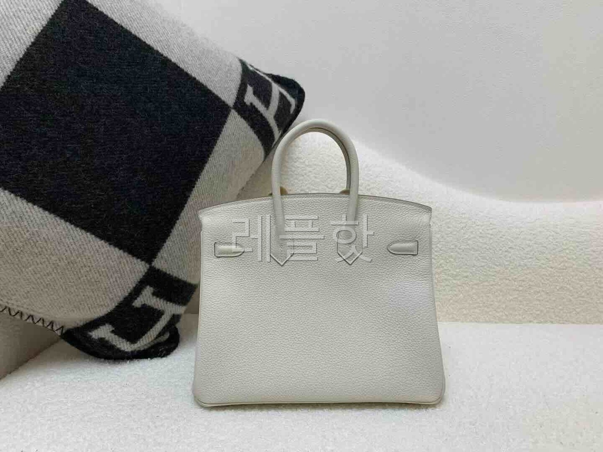 Hermès Birkin 25 Togo Mushroom x Palladium Hardware