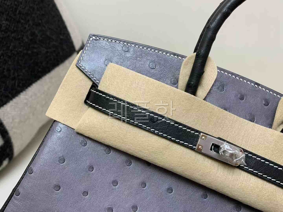 Hermès Birkin 25 Ostrich Agate Grey & Noir x Palladium Hardware