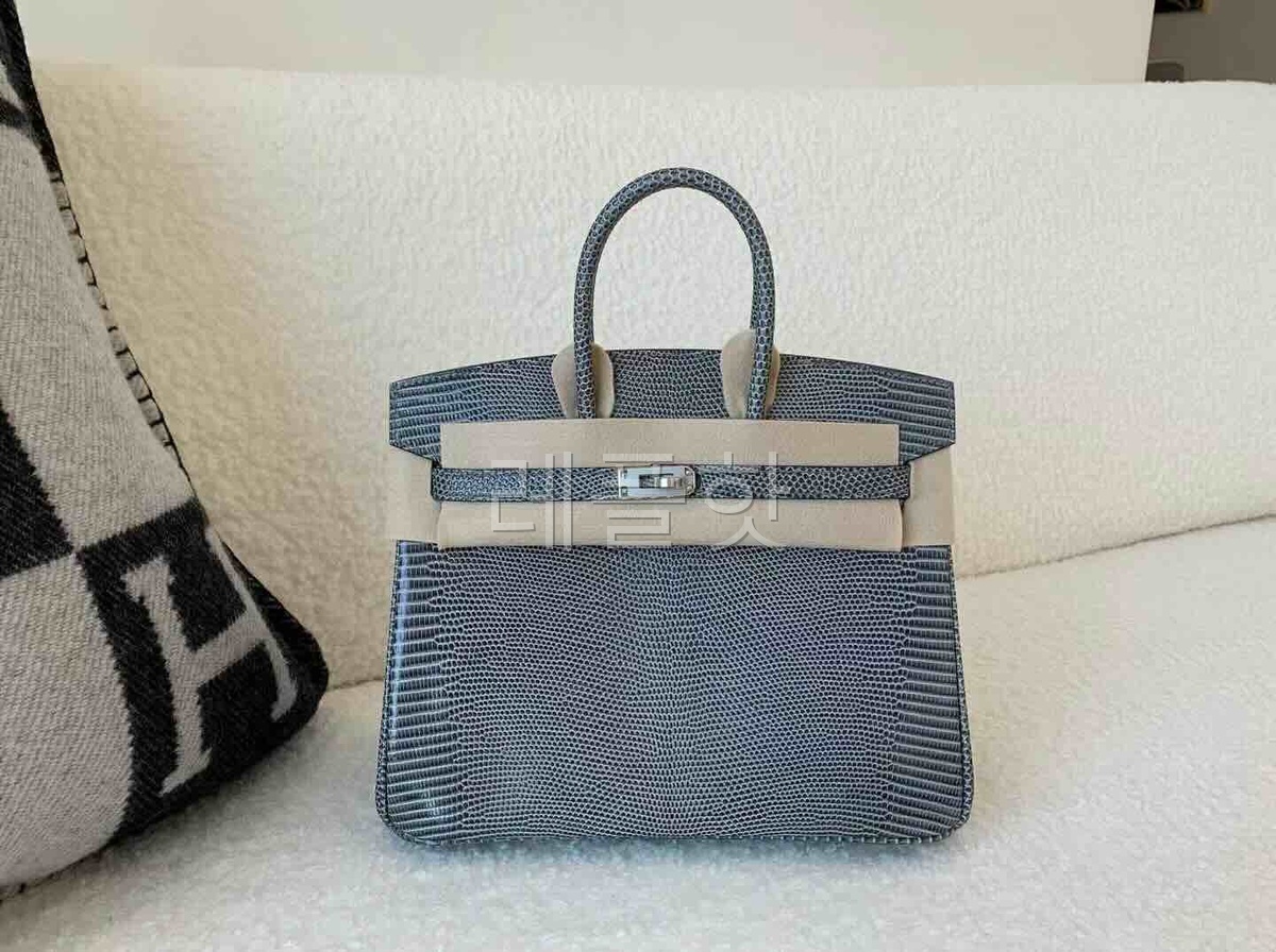 Hermès Birkin 25 Lizard Gris Mouette x Palladium Hardware