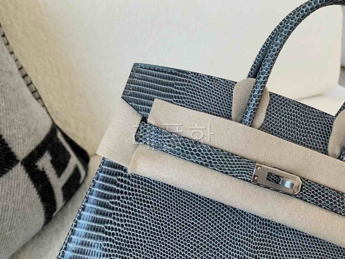 Hermès Birkin 25 Lizard Gris Mouette x Palladium Hardware