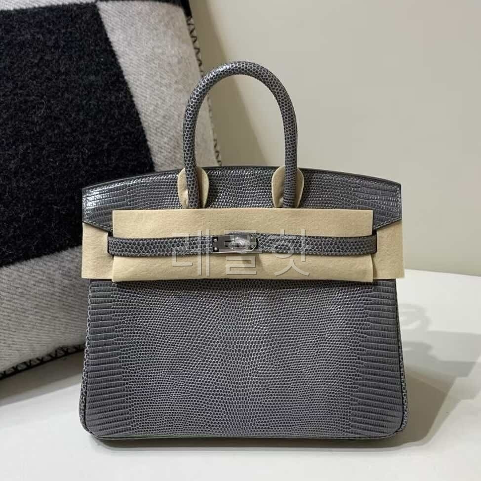 Hermès Birkin 25 Lizard Gris Mouette x Palladium Hardware
