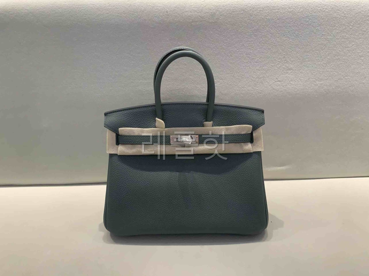 Hermès Birkin 25 Togo Vert Amande x Palladium Hardware