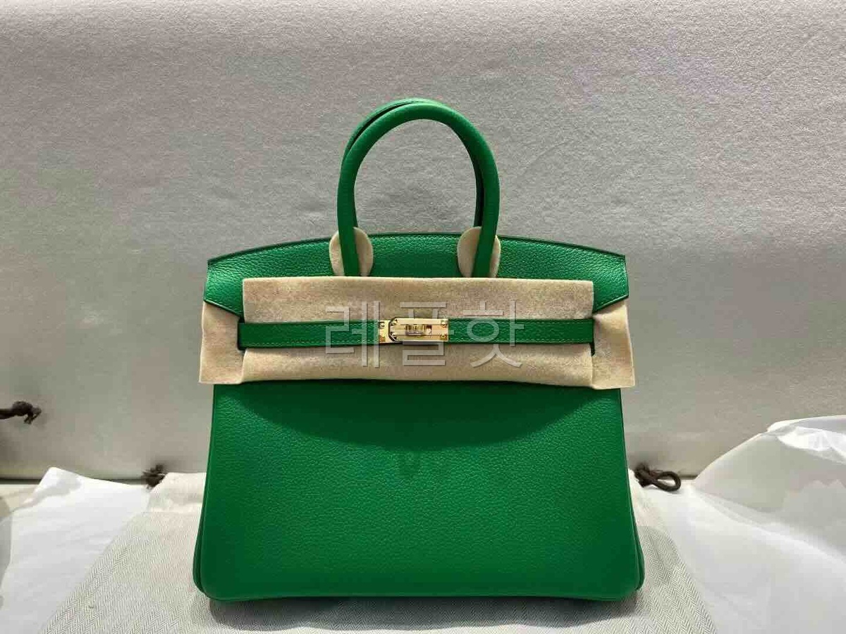 Hermès Birkin 25 Togo Bamboo Green x Gold Hardware