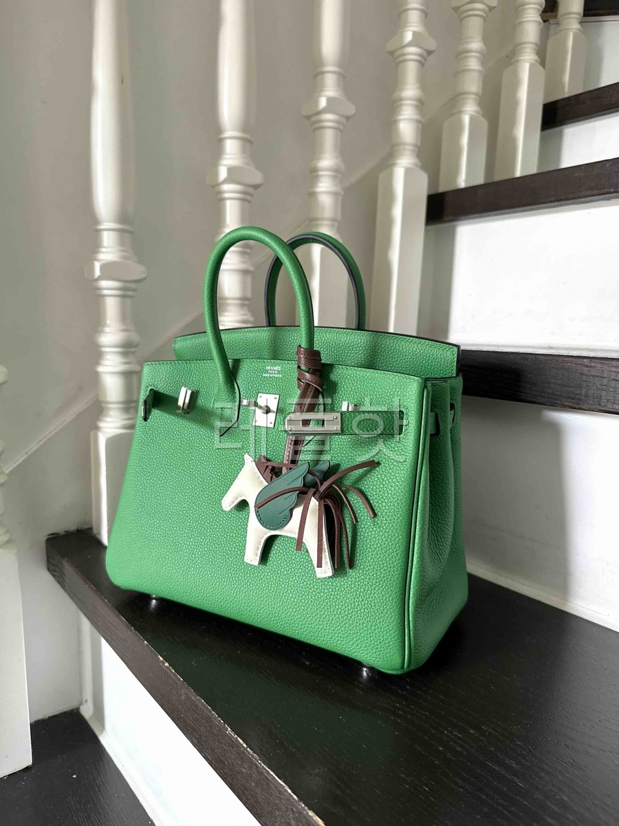 Hermès Birkin25 Togo Bamboo Greenx Palladium Hardware