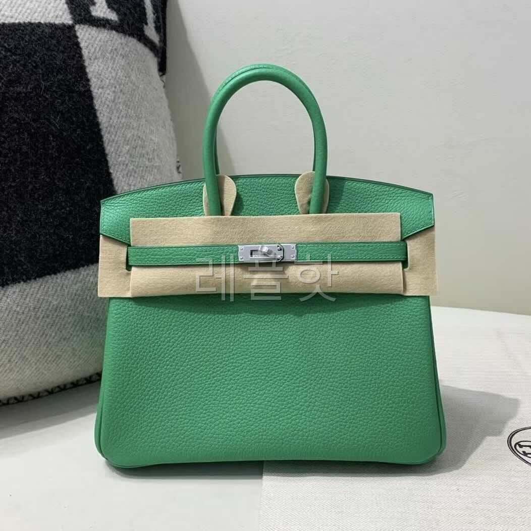 Hermès Birkin 25 Togo Vert Jade x Palladium Hardware