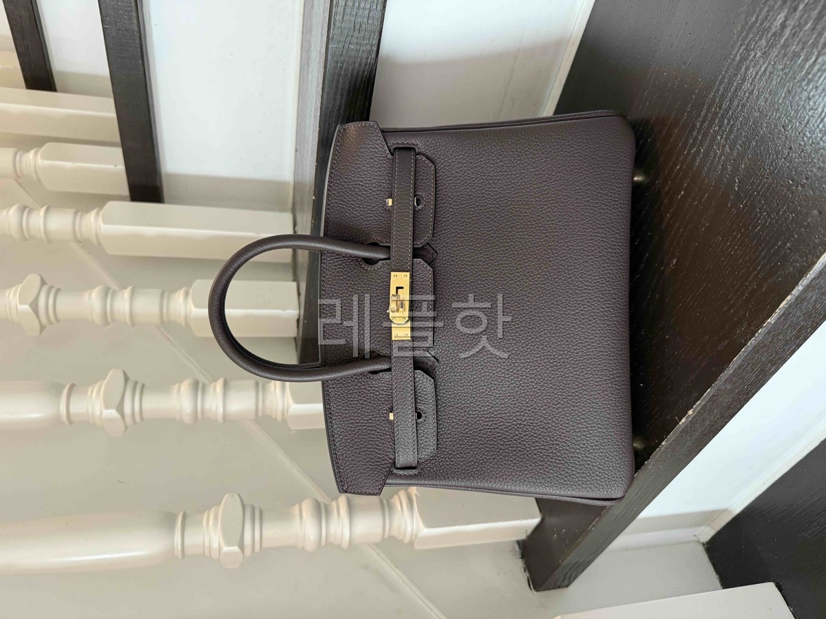 Hermès Birkin25 Togo Chocolat x Gold Harware