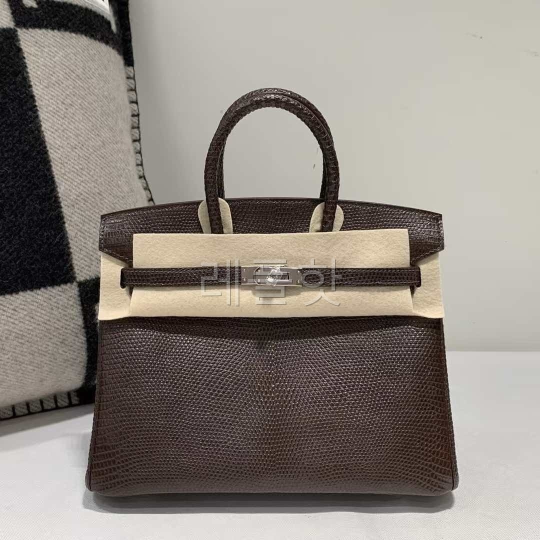 Hermès Birkin 25 Lizard Chocolate x Palladium Hardware