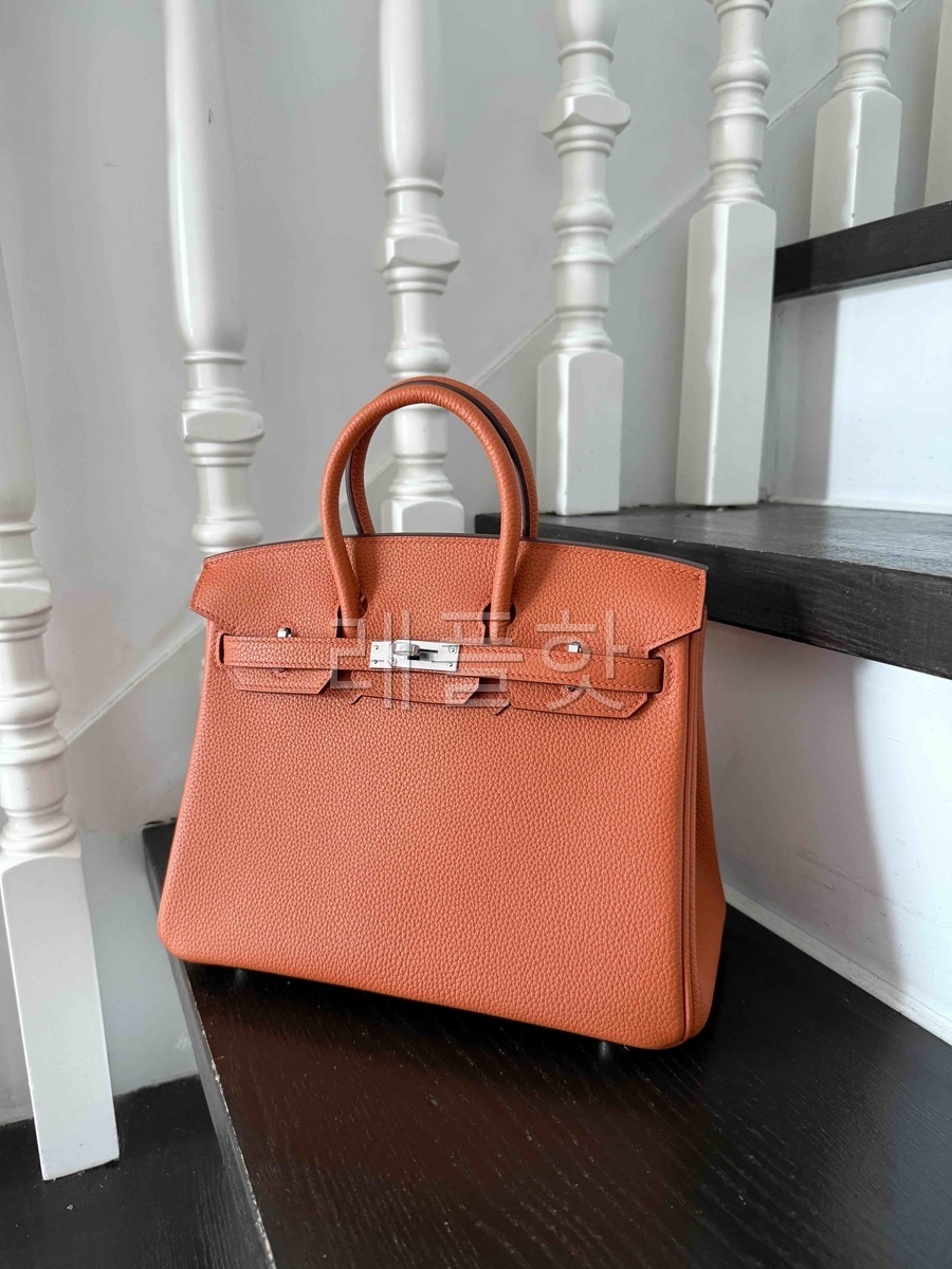 Hermès Birkin25 Togo Orange H x Palladium Hardware